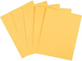 Staples Pastel Colored Copy Paper 8 1/2-Inch x 11-Inch Goldenrod Ream