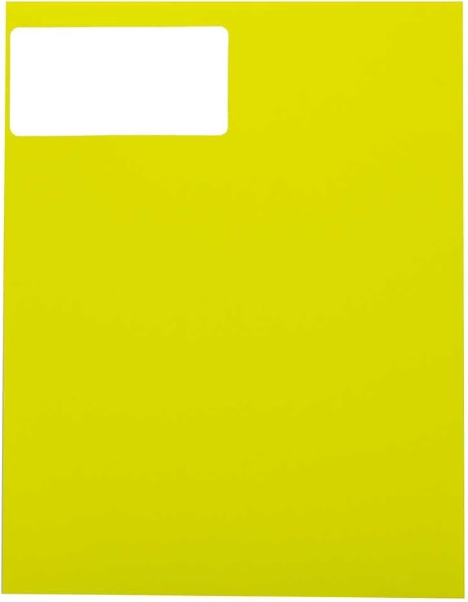 JAM PAPER Shipping Address Labels - Standard Mailing - 2 x 4 - Assorted Bright Neon Fluorescent - 6 Packs of 20 Labels - 120 Labels Total