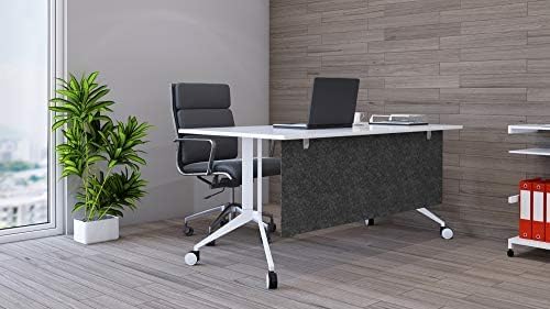 OBEX Modesty Desk PET Privacy Screen Acoustic Sound Absorbing Panel Ideal for Reception, Student Table or Office Cubicles Workstations, 12" x 60", Shadow