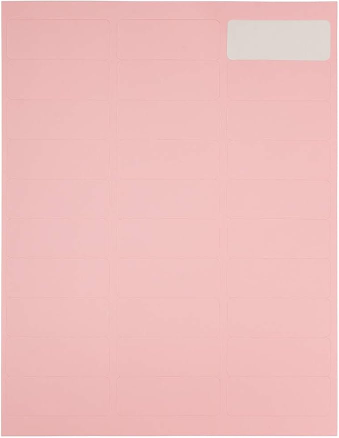 JAM PAPER Return Address Labels - Standard Mailing - 1 x 2 5/8 - Baby Pink Pastel - 120 Shipping Labels/Pack