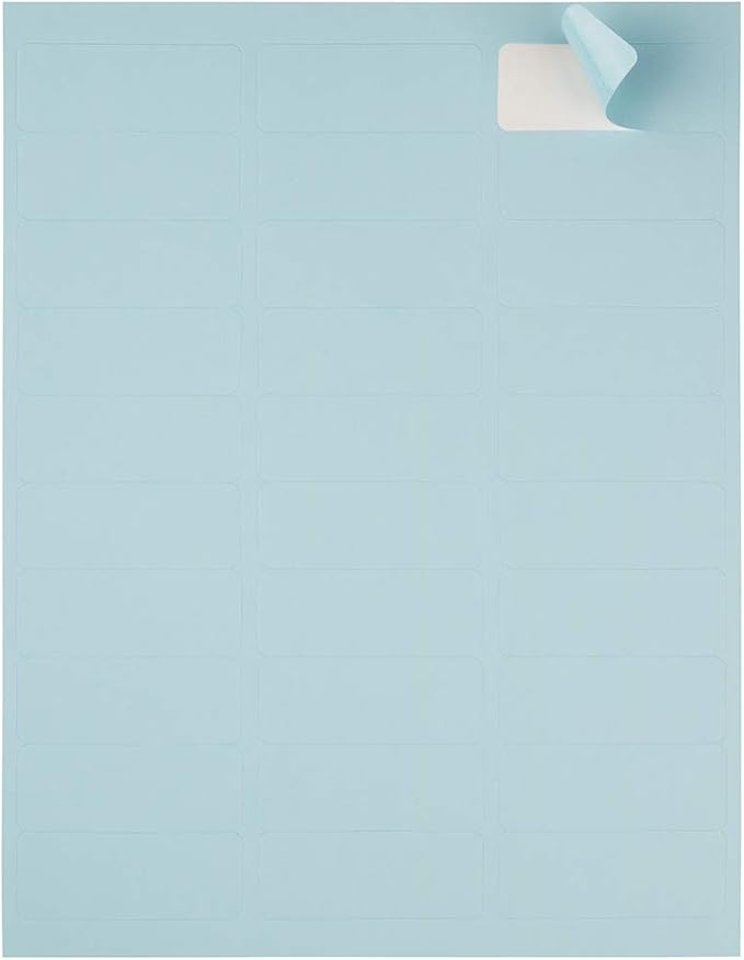 JAM PAPER Return Address Labels - Standard Mailing - 1 x 2 5/8 - Baby Blue - 120 Shipping Labels/Pack