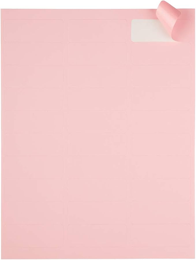 JAM PAPER Return Address Labels - Standard Mailing - 1 x 2 5/8 - Baby Pink Pastel - 120 Shipping Labels/Pack