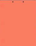 Limited Papers(TM) Writing Copy and Printing Paper, 8.5" x 11", 2 Hole Top-Punched, 20 Pound Text, 500 Sheets Per Ream. (2500, Salmon)