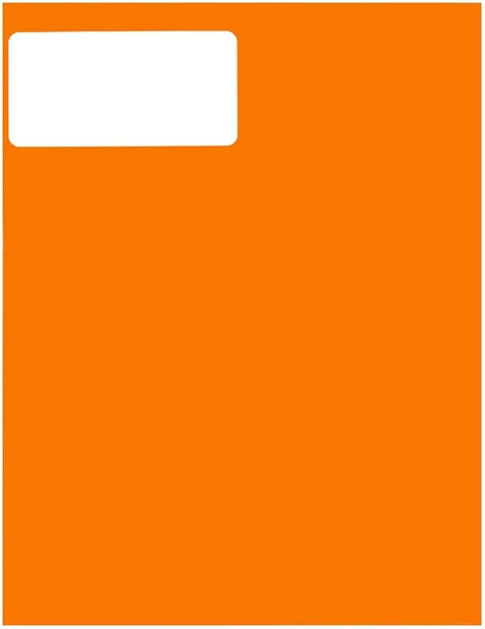 JAM PAPER Shipping Address Labels - Standard Mailing - 2 x 4 - Neon Fluorescent Orange - 120/Pack