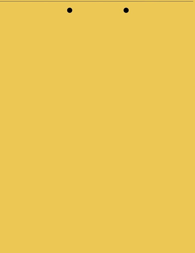 Limited Papers(TM) Writing Copy and Printing Paper, 8.5" x 11", 2 Hole Top-Punched, 20 Pound Text, 500 Sheets Per Ream. (2500, Gold)
