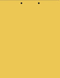 Limited Papers(TM) Writing Copy and Printing Paper, 8.5" x 11", 2 Hole Top-Punched, 20 Pound Text, 500 Sheets Per Ream. (2500, Gold)
