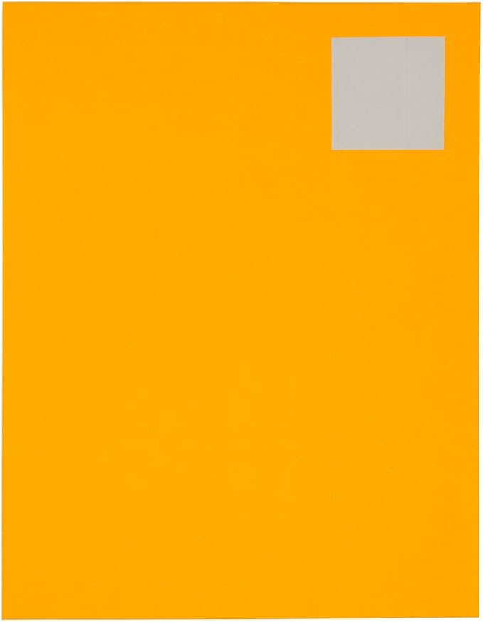 JAM PAPER Product & Container Labels - Square - 2 x 2 - Neon Orange - 120/Pack