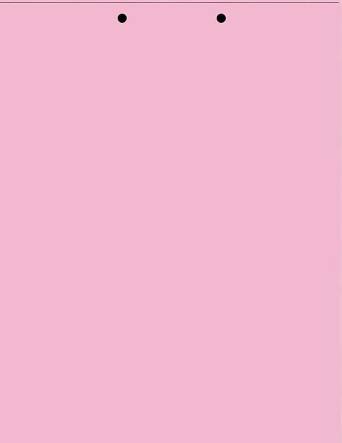 Limited Papers(TM) Writing Copy and Printing Paper, 8.5" x 11", 2 Hole Top-Punched, 20 Pound Text, 500 Sheets Per Ream. (2500, Pink)