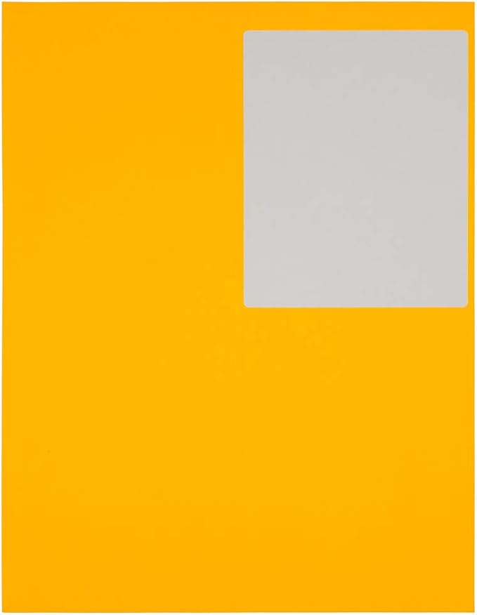 JAM Paper Mailing Address Labels - Extra Large - 4" x 5" - Neon Fluorescent Orange - 120/pack