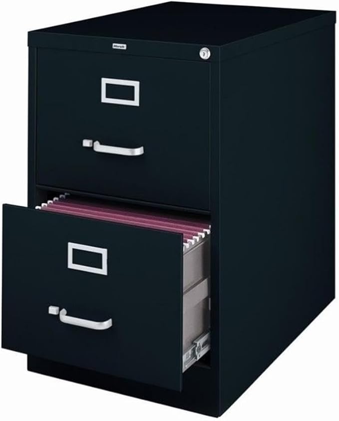 Scranton & Co 25" 2-Drawer Metal Legal Width Vertical Filing Cabinet in Black