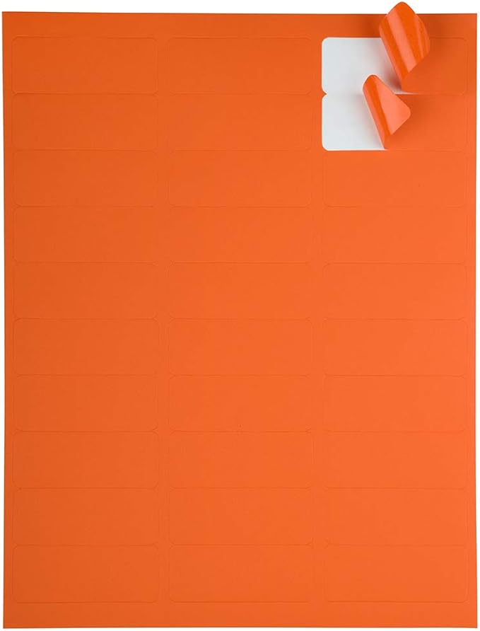 JAM PAPER Return Address Labels - Standard Mailing - 1 x 2 5/8 - Orange - 120 Shipping Labels/Pack