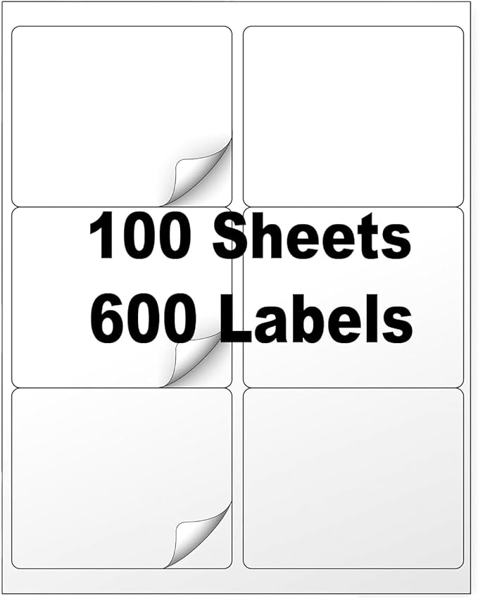 PAPRMA 3 1/3" x 4" Shipping Address Label 100 Sheets 600 Mailing Labels for Laser Inkjet Printers, 5164 8164 Printable Label Paper, Matte White 6-per-Page