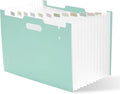 Y YOMA 2 Pack Accordion File Organizer with Handle 12 Pockets Expanding File Folder with Removable Tabs for A4 Letter Size Paper Portable Plastic Filing Organizer Bill Receipt Holder, Mint Green