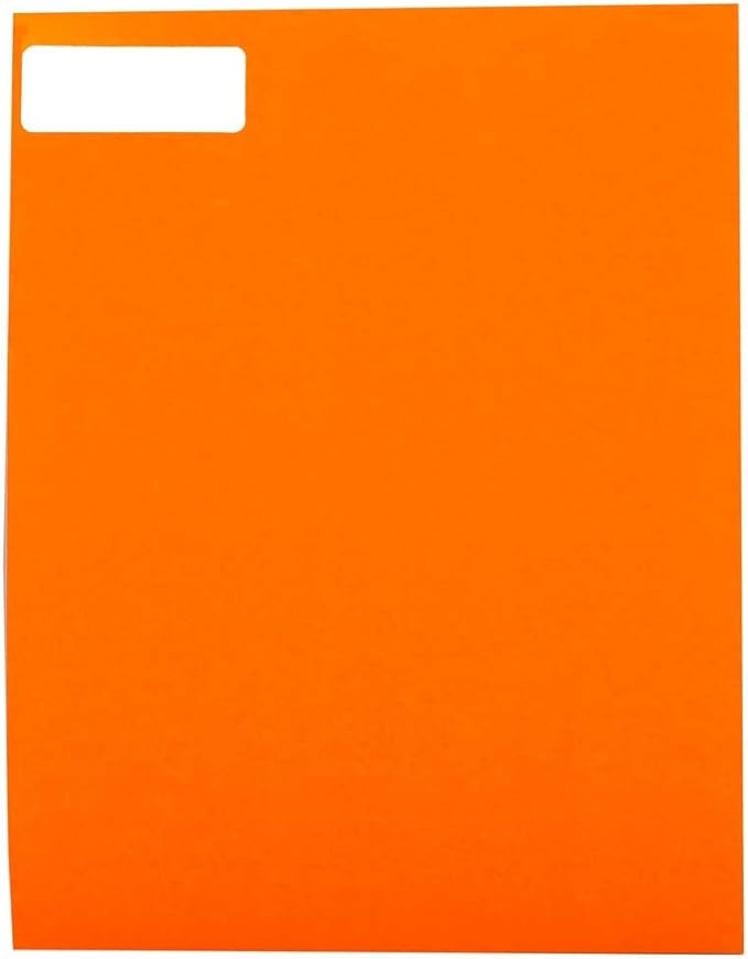 JAM PAPER Return Address Labels - Standard Mailing - 1 x 2 5/8 - Assorted Neon Colors - 600 Shipping Labels/Pack