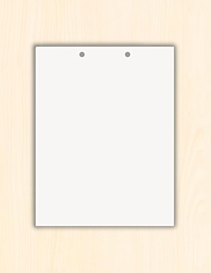 Limited Papers(TM) Writing Copy and Printing Paper, 8.5" x 11", 2 Hole Top-Punched, 20 Pound Text, 500 Sheets Per Ream. (500, White)