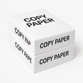 Multipurpose Printer Paper, Premium Color 20 lb Copy Paper, 8.5 x 11-2 Reams (1,000 Sheets) - 96 Bright, Made in the USA