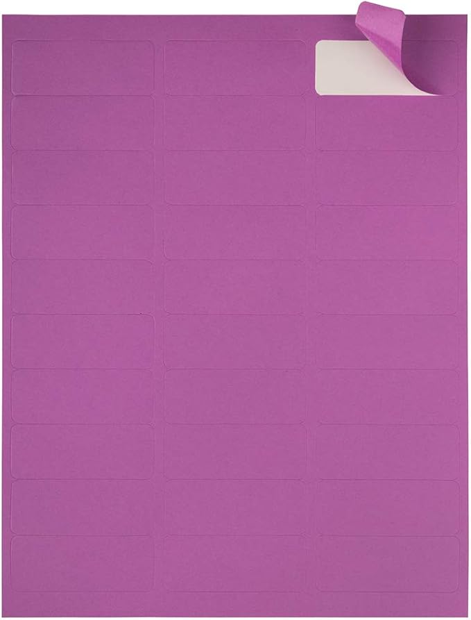 JAM PAPER Return Address Labels - Standard Mailing - 1 x 2 5/8 - Violet - 120 Shipping Labels/Pack