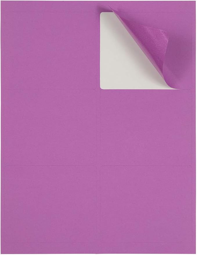 JAM PAPER Shipping Address Labels - Large - 3 1/3 x 4 - Violet Purple - 120/Pack