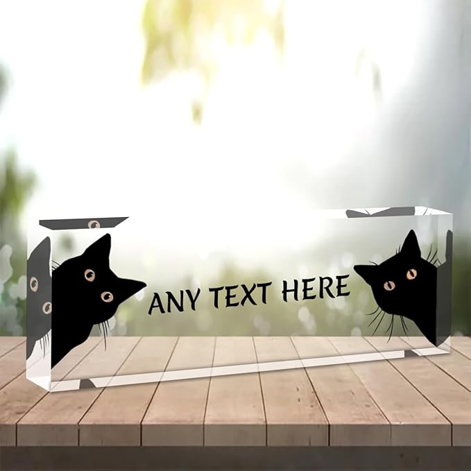 Office Desk Name Plate Personalized - Custom Acrylic Name Plates for Desk - Employee Appreciation Gifts - Office Gifts for Teacher,Boss,Nurse,Lawyer,Women Office (Funny Cat)