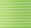LLPT Dry Erase Magnetic Label Strips 10 Pack 1" x 12" Blank Reusable Writable Magnet Stickers for Organizing Labeling on Fridge Whiteboard Crafts and More Metallic Surfaces Green(DMS11210GN)