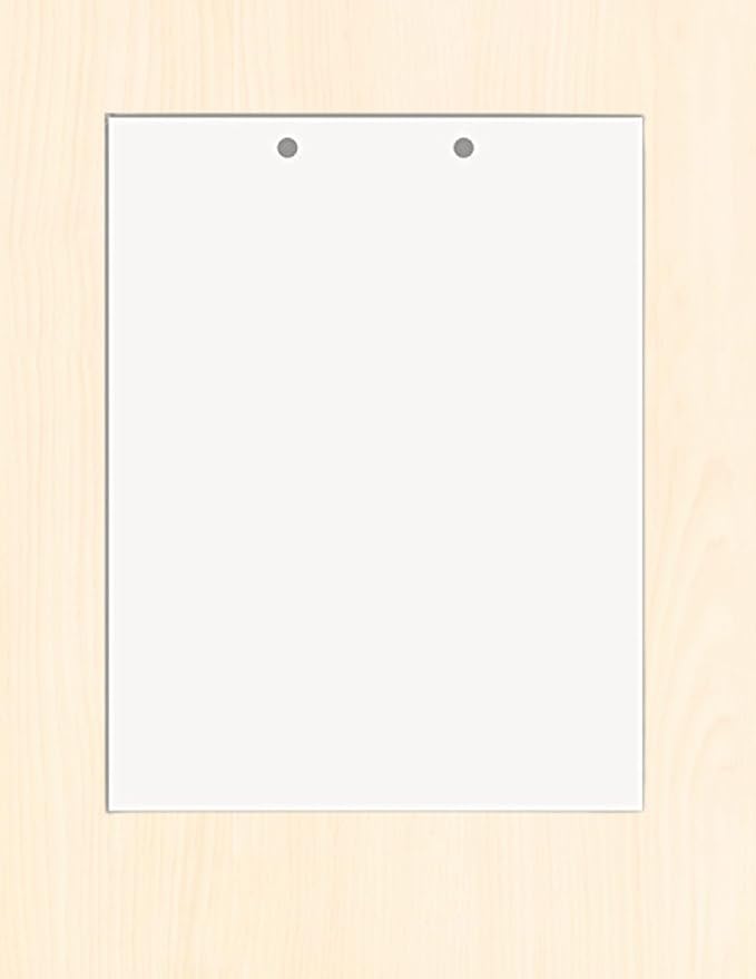 Limited Papers(TM) Writing Copy and Printing Paper, 8.5" x 11", 2 Hole Top-Punched, 20 Pound Text, 500 Sheets Per Ream. (5000, Pink)