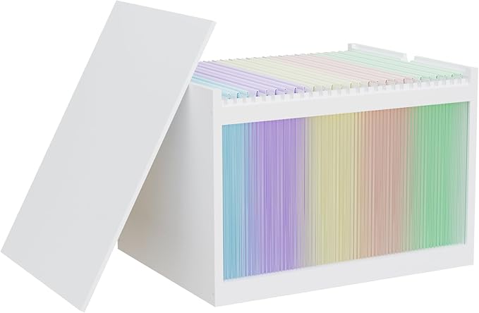 White Bamboo Acrylic File Box with Hanging Folders, Letter/Legal Size, Dustproof, Home Office File Organizer
