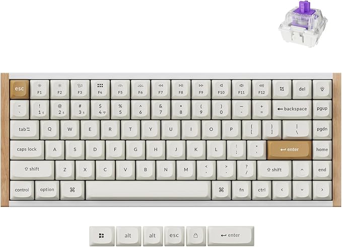 Keychron K2 HE Rapid Trigger Wireless Custom Mechanical Keyboard with Hall Effect Gateron Double-Rail Magnetic Switch, 2.4 GHz QMK Bluetooth 5.2 RGB Compatible with Mac Windows Linux (Aluminum + Wood)