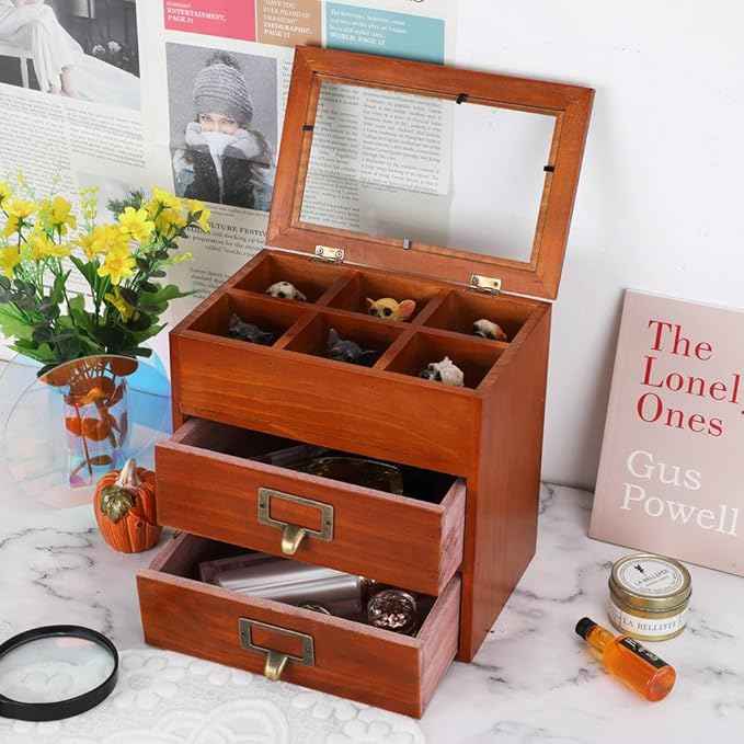 Wooden Storage Box Desk Organizer with 2 Drawers and 6 Grids Apothecary Drawers Small Craft Storage Containers Jewelry Holder for Women (Glass Brown02)