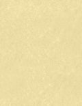 LUXPaper 8.5" x 11" Paper | Letter Size | Gold Parchment | 60lb. Text | 250 Qty
