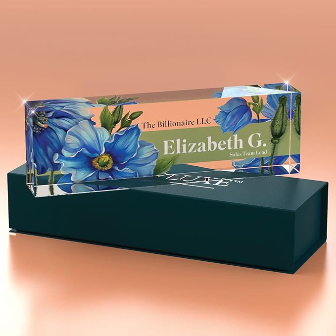 Personalized Name Plate, Custom Name Plates, 2 x 8 Inches, Thick Crystal-Clear Acrylic, Gift Box, Office Desk Decor