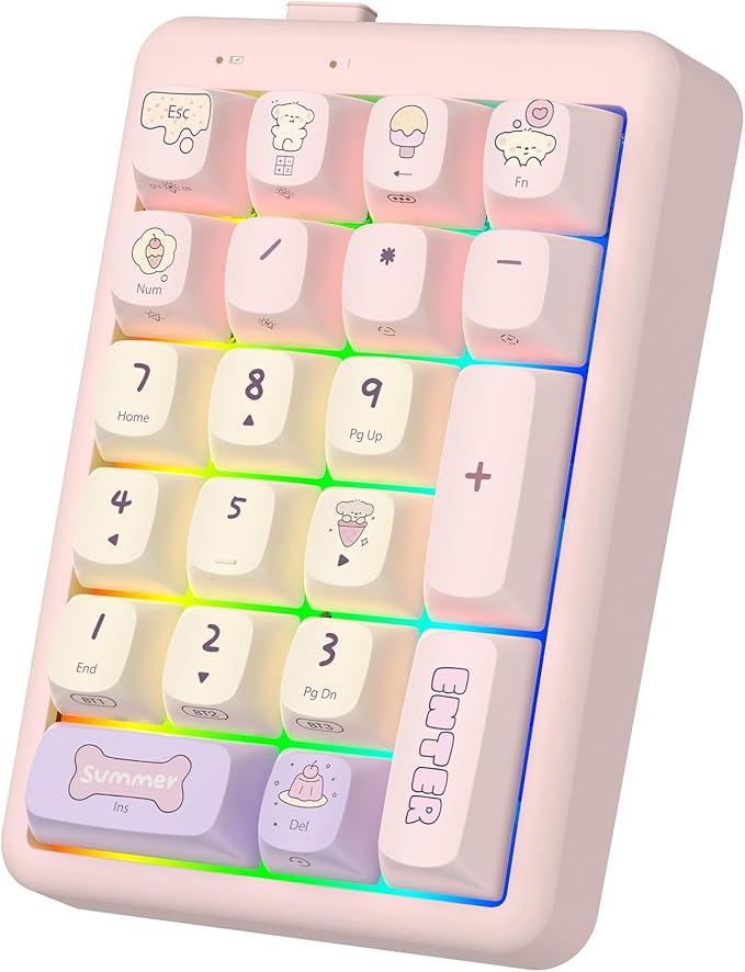 NumberPad,21Keys HotSwappable Numpad,Bluetooth5.0/2.4G/Type-C Wireless Numeric Keypad,Rechargeable Number keypad,RGB Gasket Structure Mechanical Keyboard with PBT Keycap for PC Laptop Notebook