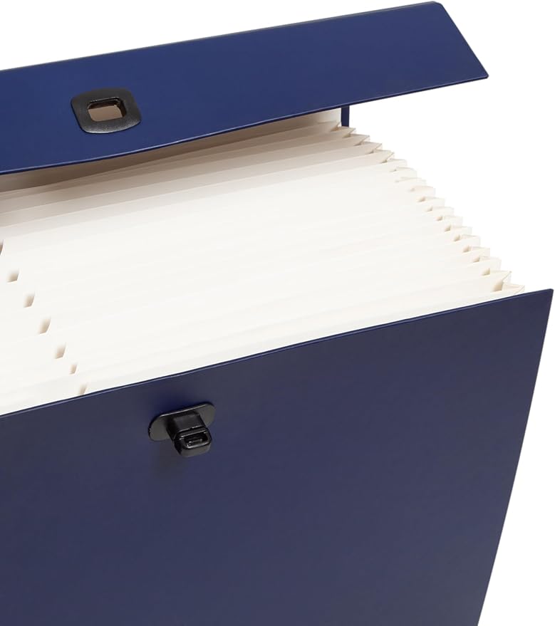 Smead Portable Expanding File Box, 19 Pockets, Blank Tabs, Printed Labels, Latch Closure, Legal Size, Blue (70806) (Pack of 4)