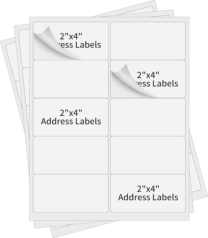 2"x4" Shipping Address Labels for Laser and Inkjet Printer, 100 Sheets 1000 Labels Strong Adhesive Internet Mailing Shipping Labels, 10 Per Page