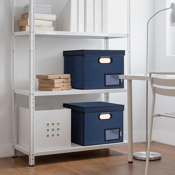 BALEINE File Organizer Box with Lid, Collapsible File Folder Organizer with Plastic Slide, Hanging File Folder Box for Office Document Storage (Tab Friendly, 1 Pack, Blue)