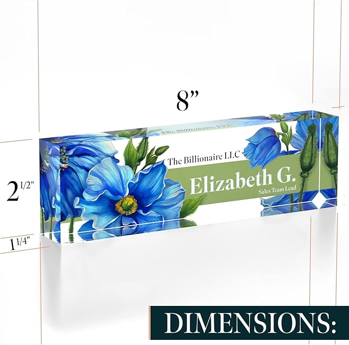 Personalized Name Plate, Custom Name Plates, 2 x 8 Inches, Thick Crystal-Clear Acrylic, Gift Box, Office Desk Decor