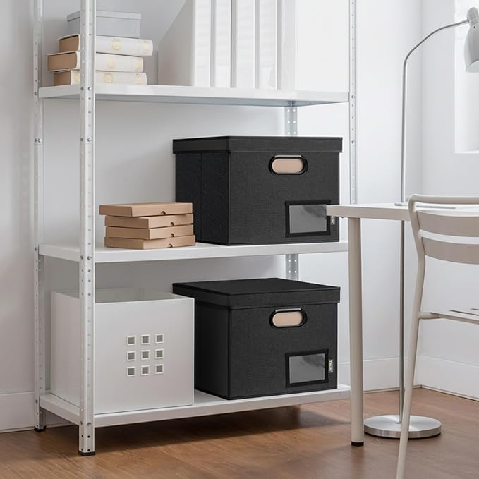 BALEINE File Organizer Box with Lid, Collapsible File Folder Organizer with Plastic Slide, Hanging File Folder Box for Office Document Storage (Tab Friendly, 1 Pack, Black)