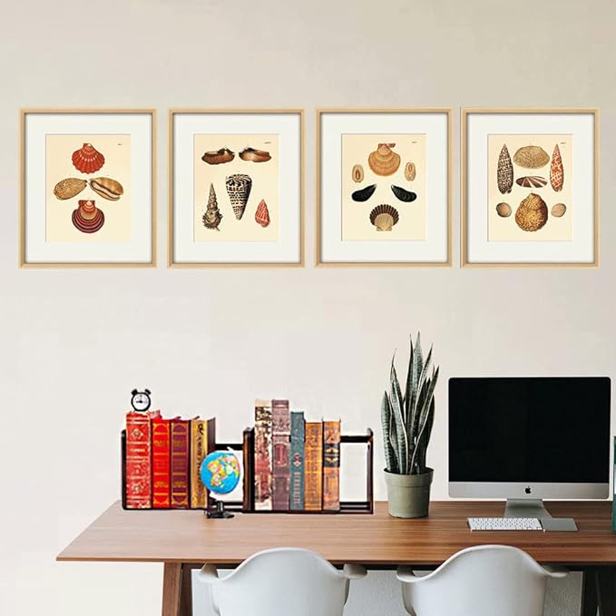 Desktop Bookshelf Expandable Desktop Organizer Counter Bookcase Desk Storage Organizer Display Shelf Rack for Office Supplies, Kitchen,Bathroom (Brown, 13.2“-24.4")