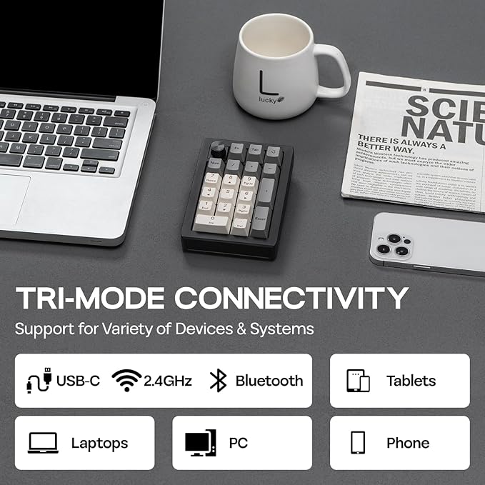 EPOMAKER EK21 VIA Gasket Number Pad with 1000mAh Battery, BT 5.0/2.4GHz/Wired Hot-Swap Numpad with Aluminum Alloy knob, Programmable for Win/Mac/Gaming (Black Silver, Wisteria V2 Switch)