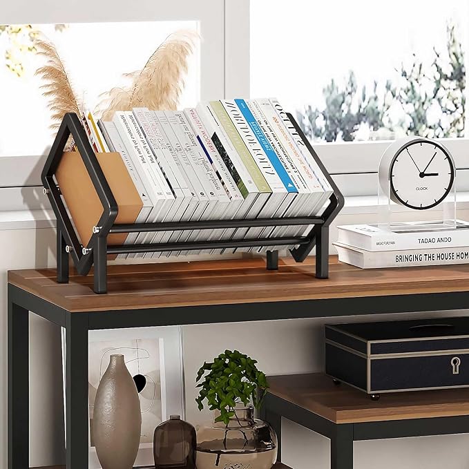 Stainless Steel Tabletop Bookshelf Desk Book Organizer for Book Lover and Record Holder, Desktop Storage Book Rack for Magazine/CDs/Books Display, Small Desktop Bookcase in Office/Home /Living Room