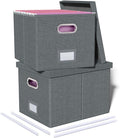2 Pack File Storage Organizer, Filing Box, Portable File Box with Lid, Fit for Letter/Legal File Folder Storage, Document Organizer, Dark-gray