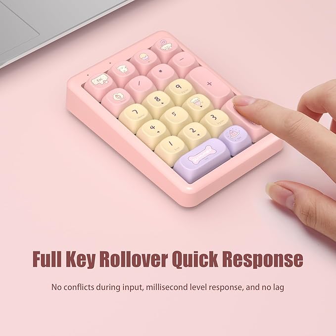 NumberPad,21Keys HotSwappable Numpad,Bluetooth5.0/2.4G/Type-C Wireless Numeric Keypad,Rechargeable Number keypad,RGB Gasket Structure Mechanical Keyboard with PBT Keycap for PC Laptop Notebook