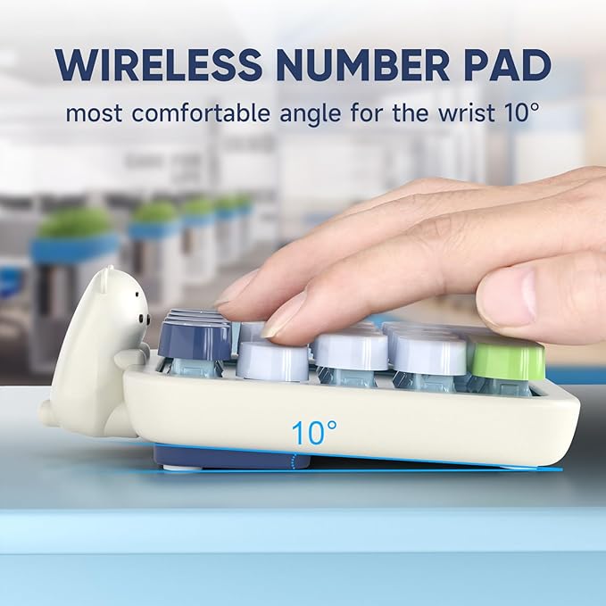 MOFII Wireless Number Pad with Bear - Mixed Blue Numeric Keypad 18 Keys 2.4G Round Keycap Colorful Extensions Cute Numpad, Portable Accounting Financial Retro Numpad 10 Key for Laptop/PC/Notebook