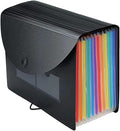 Accordian File Organizer,13 Pockets Expanding File Folder with Expandable Cover,Portable Filing Box,Desktop Accordion Folders,Plastic Colored Paper Document Paperwork Receipt Organizer(A4/Letter Size)