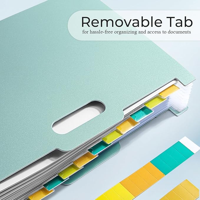 Y YOMA 2 Pack Accordion File Organizer with Handle 12 Pockets Expanding File Folder with Removable Tabs for A4 Letter Size Paper Portable Plastic Filing Organizer Bill Receipt Holder, Mint Green