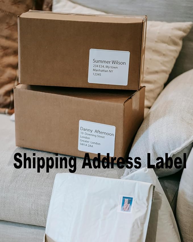 PAPRMA 2" x 4" Shipping Address Labels for Laser Inkjet Printer, Mailing Label White for Package or Envelope, Printable Label Sheet 5163 8163 (100 Sheets 1000 Labels)