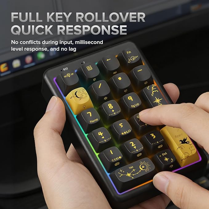 NumberPad,21Keys HotSwappable Numpad,Bluetooth5.0/2.4G/Type-C Wireless Numeric Keypad,Rechargeable Number keypad,RGB Gasket Structure Mechanical Keyboard with PBT Keycap for PC Laptop Notebook (Black)