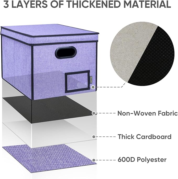 BALEINE File Organizer Box with Lid, Collapsible File Folder Organizer with Plastic Slide, Hanging File Folder Box for Office Document Storage (Tab Friendly, 1 Pack, Purple)