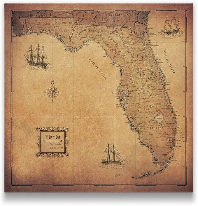 Conquest Maps Push Pin Florida Map Board - With Push Pins to Mark Florida Travel - Handmade in Ohio, USA - Design: Golden Aged