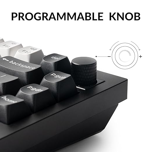 Keychron Q1 HE Wireless Custom Mechanical Keyboard with Hall Effect Gateron Double-Rail Magnetic Switch Rapid Trigger, QMK 2.4 GHz Bluetooth 5.2 RGB Compatible with Mac Windows Linux (Hot-swappable)