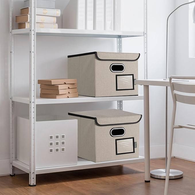 BALEINE File Organizer Box with Lid, Collapsible File Folder Organizer with Plastic Slide, Hanging File Folder Box for Office Document Storage (2 Pack, Beige)